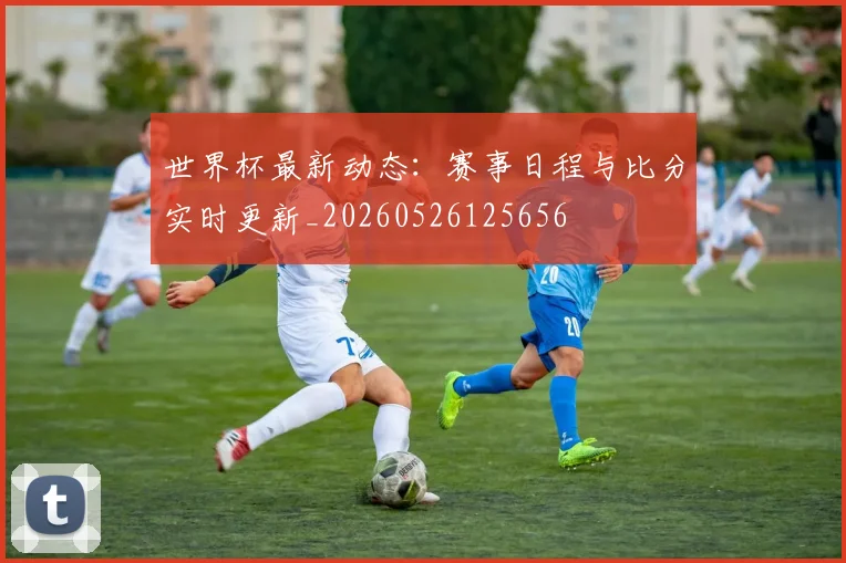 世界杯最新动态：赛事日程与比分实时更新_20260526125656