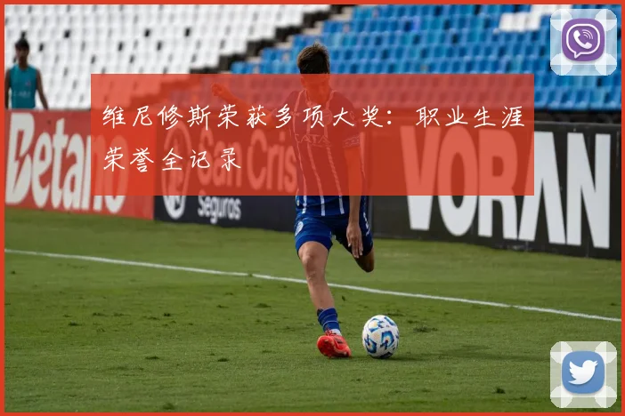 维尼修斯荣获多项大奖：职业生涯荣誉全记录