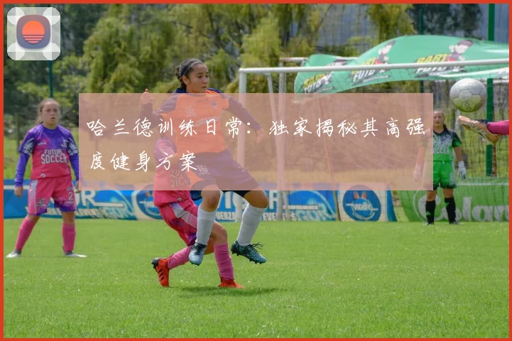 哈兰德训练日常：独家揭秘其高强度健身方案