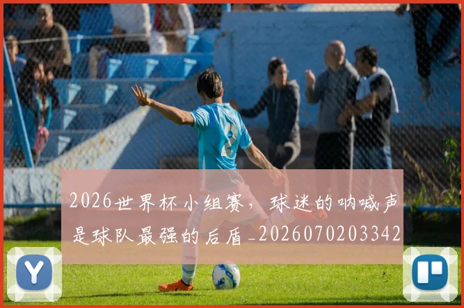 2026世界杯小组赛，球迷的呐喊声是球队最强的后盾_20260702033424
