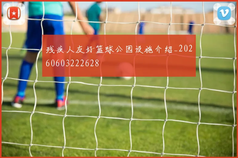 残疾人友好篮球公园设施介绍_20260603222628