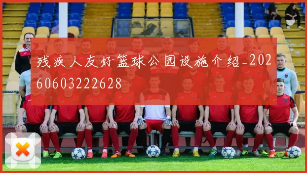 残疾人友好篮球公园设施介绍_20260603222628