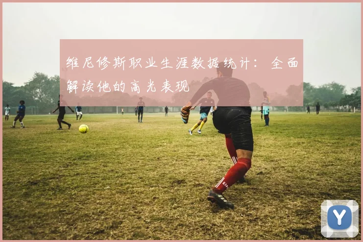 维尼修斯职业生涯数据统计：全面解读他的高光表现