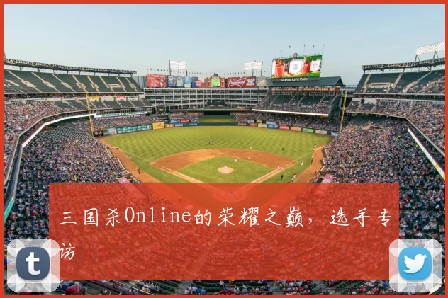 三国杀Online的荣耀之巅，选手专访