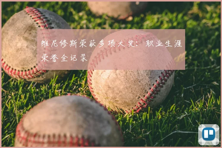 维尼修斯荣获多项大奖：职业生涯荣誉全记录